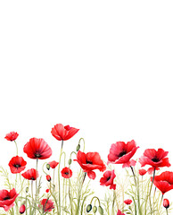 Watercolor Red Poppies Banner Background with copy space