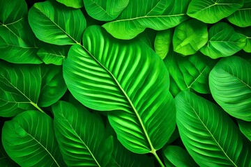 green leaves background