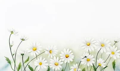 Watercolor White Daisy Flowers Background with Copy Space