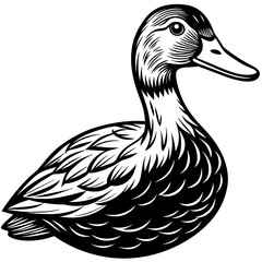 duck isolated on white, black duck silhouette vector illustration,icon,svg,pet,duck characters,Holiday t shirt,Hand drawn trendy Vector illustration,duck on black background