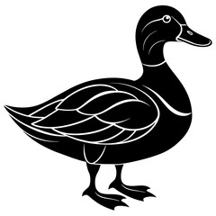 duck isolated on white, black duck silhouette vector illustration,icon,svg,pet,duck characters,Holiday t shirt,Hand drawn trendy Vector illustration,duck on black background