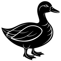 duck isolated on white, black duck silhouette vector illustration,icon,svg,pet,duck characters,Holiday t shirt,Hand drawn trendy Vector illustration,duck on black background