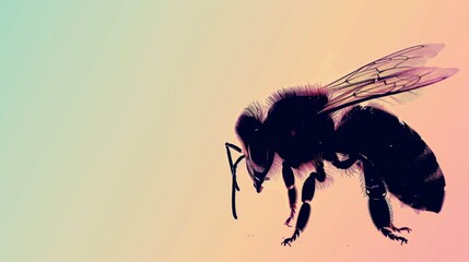 An artistic silhouette of a bee, accentuated by a gradient pastel background, evoking a calm yet vibrant essence of nature. - obrazy, fototapety, plakaty