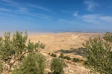 Foto op Plexiglas View from the memorial Mount Nebo towards the Dead Sea and Israel. Jordan. Horizontally.  © frank11