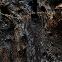 Wooden