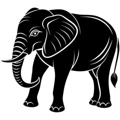 Fototapeta premium elephant isolated on white, black elephant silhouette vector illustration,icon,svg,pet,elephant characters,Holiday t shirt,Hand drawn trendy Vector illustration,elephant on black background