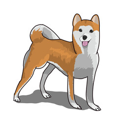 柴犬のキャラクターデザイン