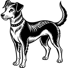      Dog silhouette  vector illustration.
