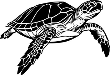 Series of illustrated Sea Turtles in black white for illustration, design, printing