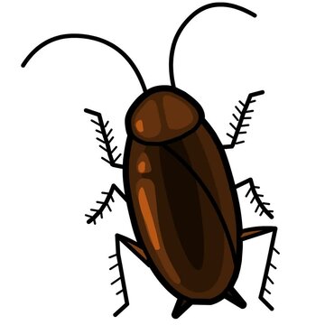 cockroach animation flat vector style