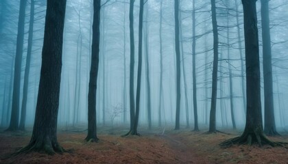 A tranquil forest shrouded in fog, with tall trees stretching into the misty abyss, evoking a serene and mysterious atmosphere. - obrazy, fototapety, plakaty