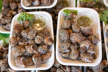 Thai sea food - Spotted babylon has a white bark surface. It has dark brown markings. The dots are spaced far apart. The flesh is soft and juicy, not hard, and has a clear sweet taste.