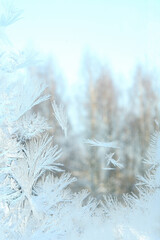 Ice flowers, frost on the window like a frame, light colors, positive mood, low temperatures in the...