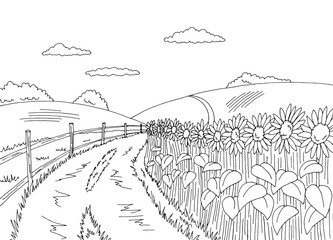 Sunflower field road graphic black white landscape sketch illustration vector