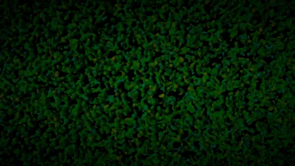 Tuinposter künstliche oder organische dunkle grüne Mikrostruktur © blobbotronic