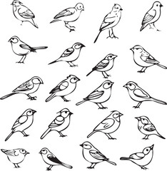 Fototapeta premium Birds icon black and white background 