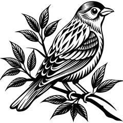 Bird on a branch vector illustration.