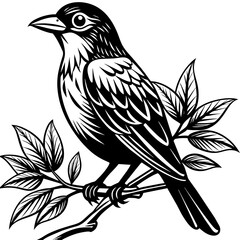 Bird on a branch vector illustration.