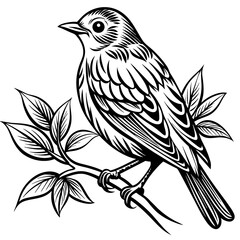 Bird on a branch vector illustration.