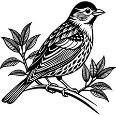 Bird on a branch vector illustration.