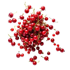 Red currant falling isolated on transparent background.