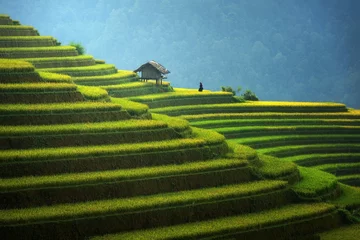 Photo sur Plexiglas Mu Cang Chai Rice Fields Terraced Rainny Season Mu Cang Chai Vietnam