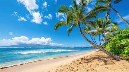 Fototapeta na wymiar Palm trees and sand, sunny day, blue sky, ocean view