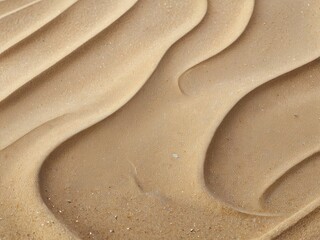 Obraz premium a close up of a sand dune with a few small ripples