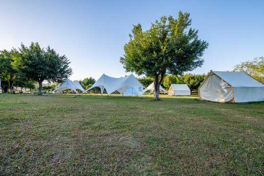 The camping grassland in the park in the morning