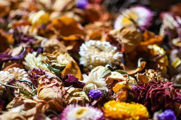 Dried flowers close up.