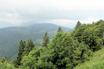 A view of the Austrian Countryside near St Gilgen