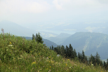 Fototapeta premium A view of the Austrian Countryside near St Gilgen