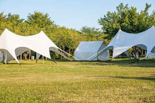 The camping grassland in the park in the morning