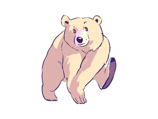Bear on White Background Complete Editable