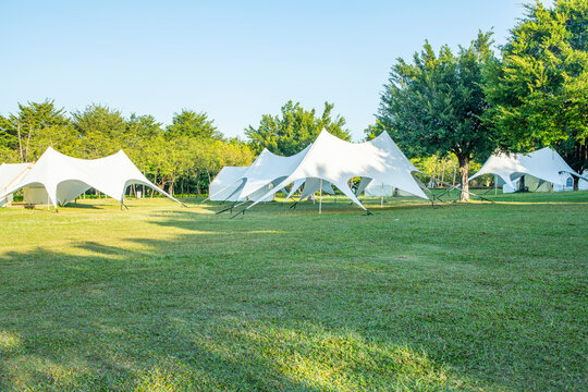 The camping grassland in the park in the morning
