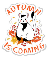 Sticker with black and white cute little cat is sitting with autumn leaves. Autumn is coming.