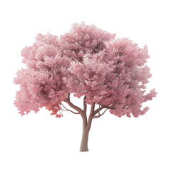 Obraz premium A tree with pink blossoms against a transparent Background
