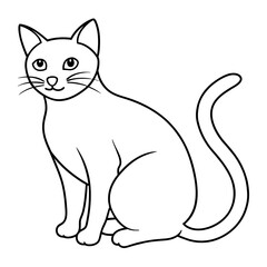   cat vector illustration with line art.
