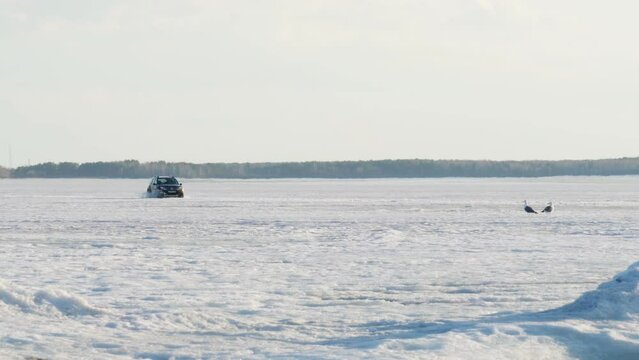 The Renault Duster car is driving dangerously on the weak melting ice of the lake. Splashes of water from under the wheels fly apart. The concept of security.