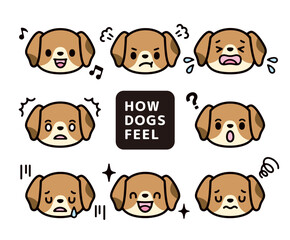 Cute Beagle character expression illustration set