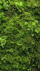 Lush green vertical garden texture