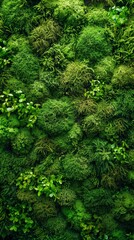 Obraz premium Lush green vertical garden texture