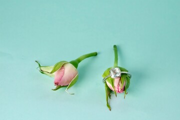 close-up of an engagement silver ring with a gemstone worn on a pink rose bud leaning next to other pink rose bud on an azure background
