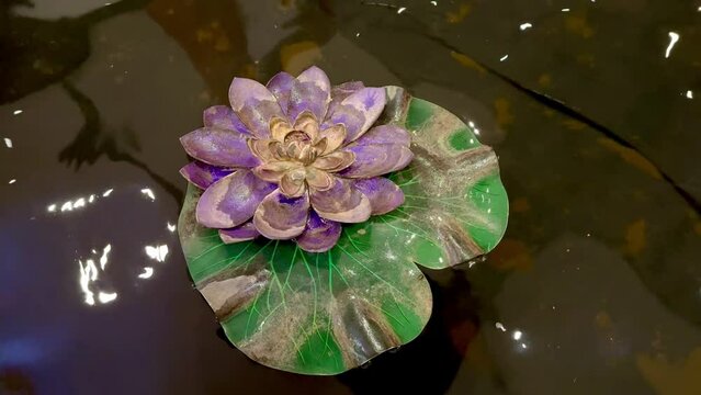 4k video. Lotus flower with its leaves, seen floating on the flowing water pond. Rippled water pond shifting lotus flower or water lillies on top of it.