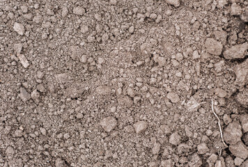 Background, texture of dug up earth, soil of Ukrainian black soil. Nature photography, agriculture...