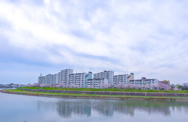 Fototapeta na wymiar Apartment building with cherry blossom tree and river.