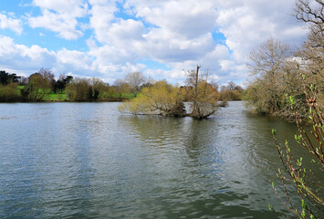 A picturesque view of the lake at Mote Park