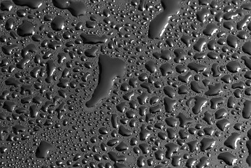 Water drops on a black background. Texture