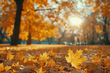 Naklejka na ściany i meble Splendid golden leaves adorn a tranquil park scene with enchanting bokeh. Authentic seasonal beauty