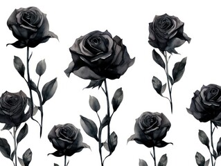 Black roses watercolor clipart on white background, defined edges floral flower pattern background with copy space for design text or photo backdrop minimalistic 